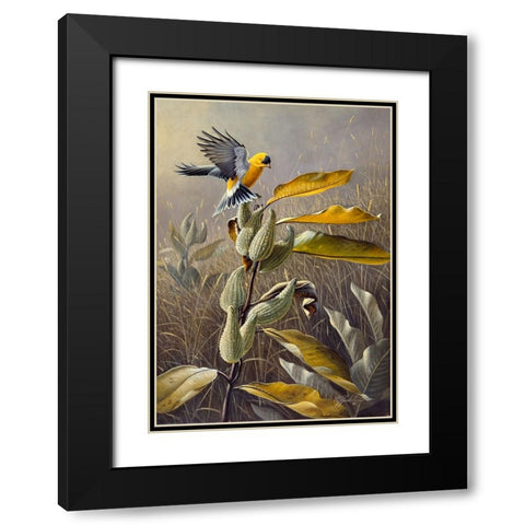 Meadow Gold Black Modern Wood Framed Art Print with Double Matting by Goebel, Wilhelm