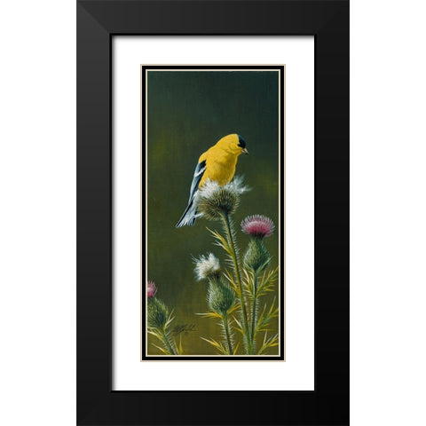 Goldfinch On Thistle Black Modern Wood Framed Art Print with Double Matting by Goebel, Wilhelm