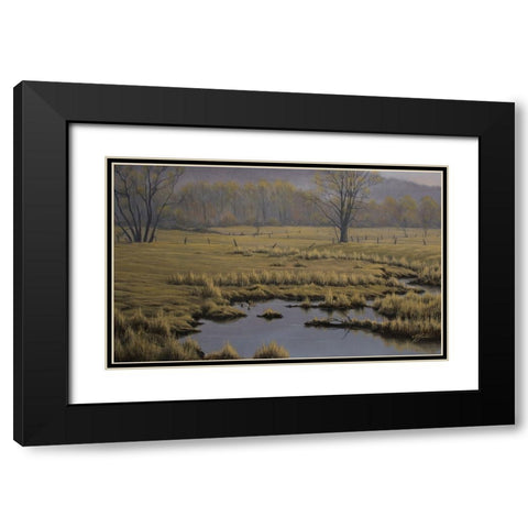 Spring Pasture - Mallard Pair Black Modern Wood Framed Art Print with Double Matting by Goebel, Wilhelm