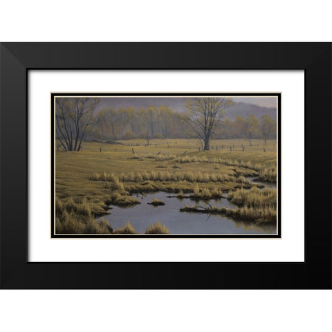 Spring Pasture - Mallard Pair Black Modern Wood Framed Art Print with Double Matting by Goebel, Wilhelm