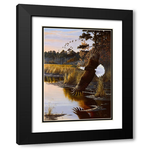 Wings Of Autumn - Bald Eagle Black Modern Wood Framed Art Print with Double Matting by Goebel, Wilhelm