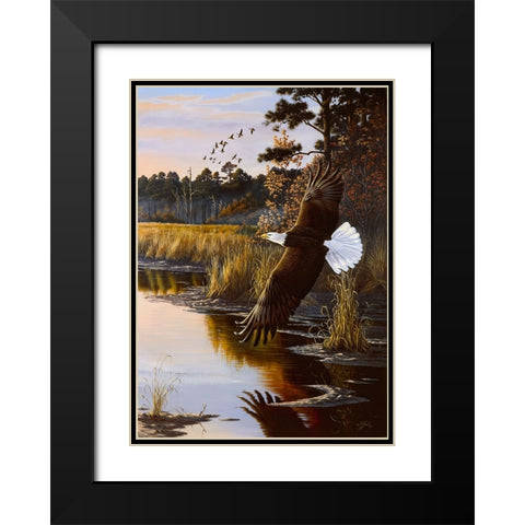 Wings Of Autumn - Bald Eagle Black Modern Wood Framed Art Print with Double Matting by Goebel, Wilhelm