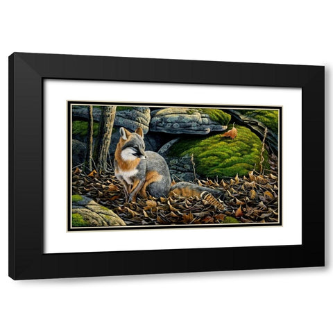 Grey Fox Black Modern Wood Framed Art Print with Double Matting by Goebel, Wilhelm