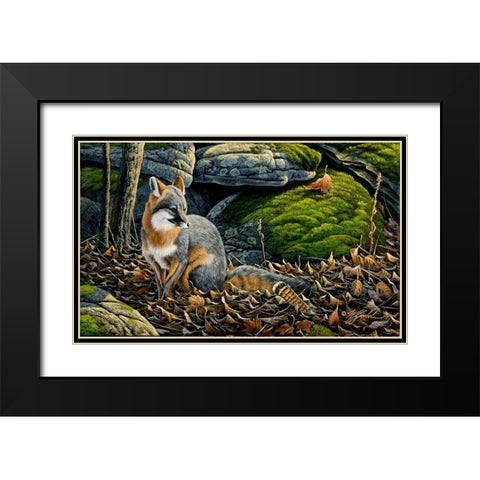 Grey Fox Black Modern Wood Framed Art Print with Double Matting by Goebel, Wilhelm