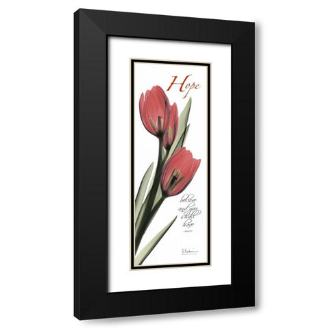 Tulips in Red - Hope Black Modern Wood Framed Art Print with Double Matting by Koetsier, Albert