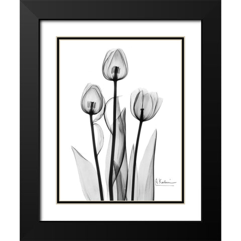 Tulips Black and White Black Modern Wood Framed Art Print with Double Matting by Koetsier, Albert