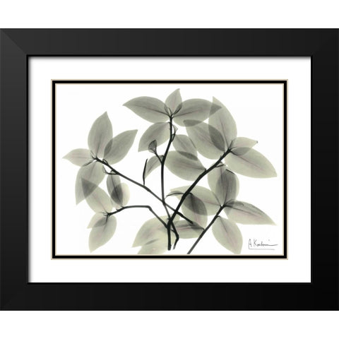 Wandering Jew Black Modern Wood Framed Art Print with Double Matting by Koetsier, Albert