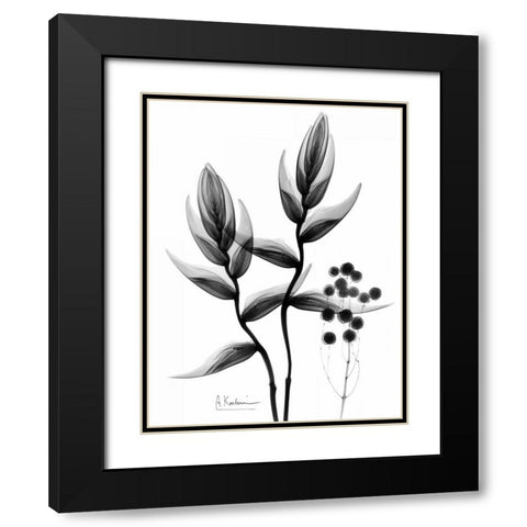 Heliconia Arrangement BandW Black Modern Wood Framed Art Print with Double Matting by Koetsier, Albert