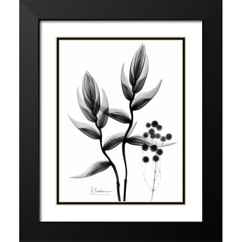 Heliconia Arrangement BandW Black Modern Wood Framed Art Print with Double Matting by Koetsier, Albert