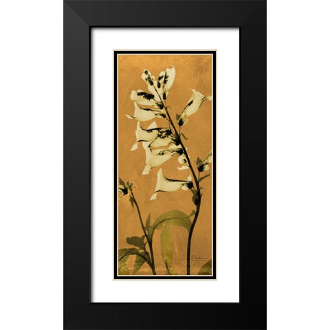 Golden Foxglove Black Modern Wood Framed Art Print with Double Matting by Koetsier, Albert