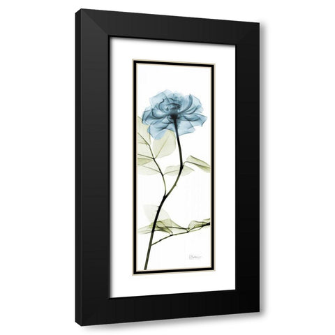 Long Blue Rose Black Modern Wood Framed Art Print with Double Matting by Koetsier, Albert