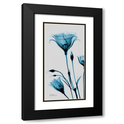 Blue Gentian Black Modern Wood Framed Art Print with Double Matting by Koetsier, Albert