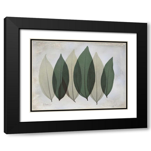 The Grays 1 Black Modern Wood Framed Art Print with Double Matting by Koetsier, Albert