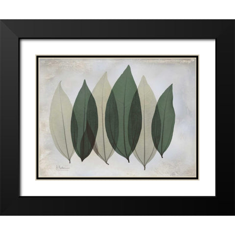 The Grays 1 Black Modern Wood Framed Art Print with Double Matting by Koetsier, Albert