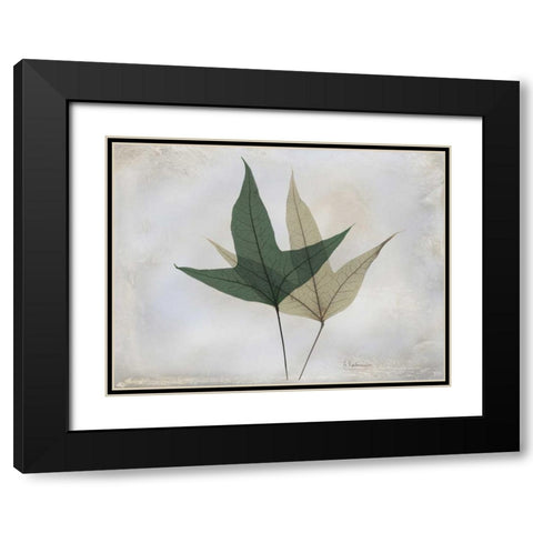 The Grays 2 Black Modern Wood Framed Art Print with Double Matting by Koetsier, Albert