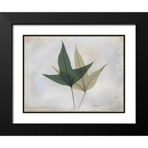 The Grays 2 Black Modern Wood Framed Art Print with Double Matting by Koetsier, Albert