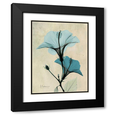 Hibiscus Black Modern Wood Framed Art Print with Double Matting by Koetsier, Albert