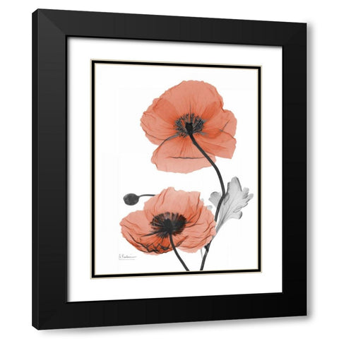 Soft Poppy Black Modern Wood Framed Art Print with Double Matting by Koetsier, Albert