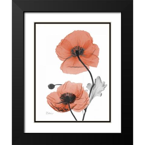Soft Poppy Black Modern Wood Framed Art Print with Double Matting by Koetsier, Albert