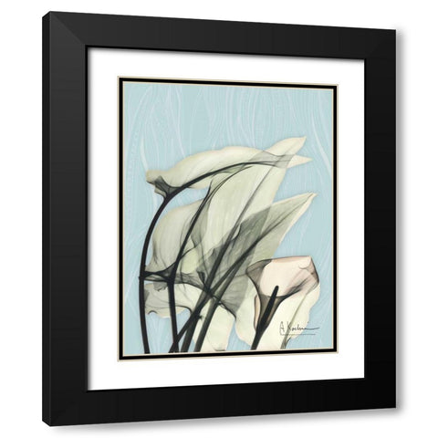 Calla Lily Leaves Black Modern Wood Framed Art Print with Double Matting by Koetsier, Albert
