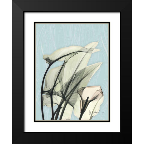 Calla Lily Leaves Black Modern Wood Framed Art Print with Double Matting by Koetsier, Albert