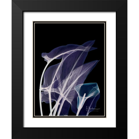 Lily Xray Black Modern Wood Framed Art Print with Double Matting by Koetsier, Albert