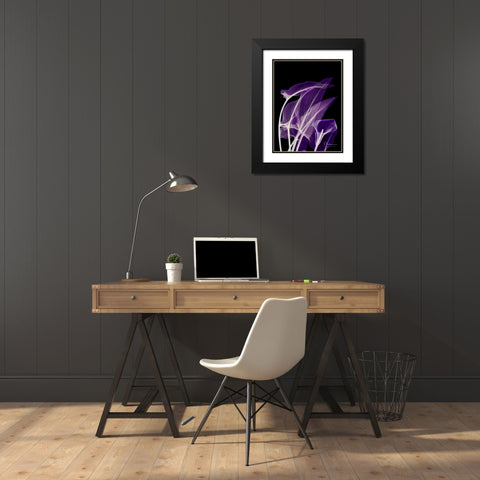 Purple Calla Black Modern Wood Framed Art Print with Double Matting by Koetsier, Albert