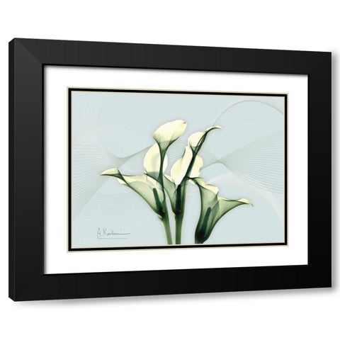 Calla Lily L275 Black Modern Wood Framed Art Print with Double Matting by Koetsier, Albert