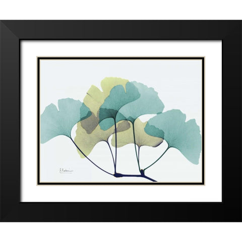 Gingko L140 Black Modern Wood Framed Art Print with Double Matting by Koetsier, Albert