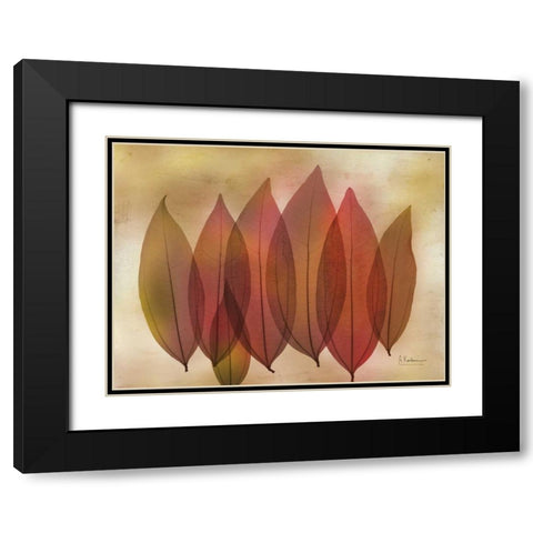Harvest Light 1 Black Modern Wood Framed Art Print with Double Matting by Koetsier, Albert