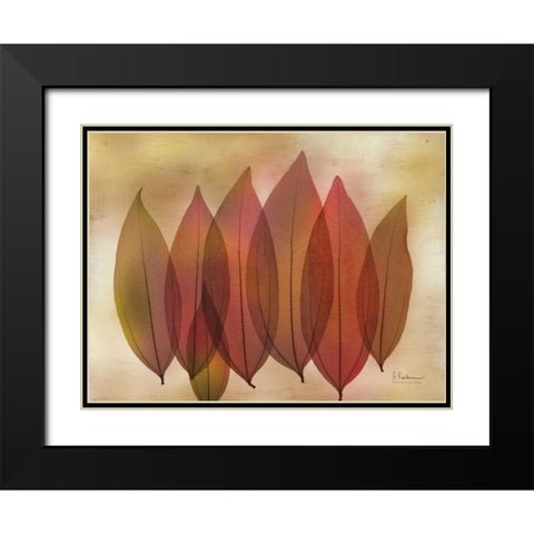 Harvest Light 1 Black Modern Wood Framed Art Print with Double Matting by Koetsier, Albert