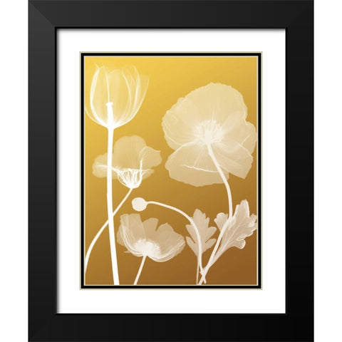 Transparent Flora 3 Black Modern Wood Framed Art Print with Double Matting by Koetsier, Albert