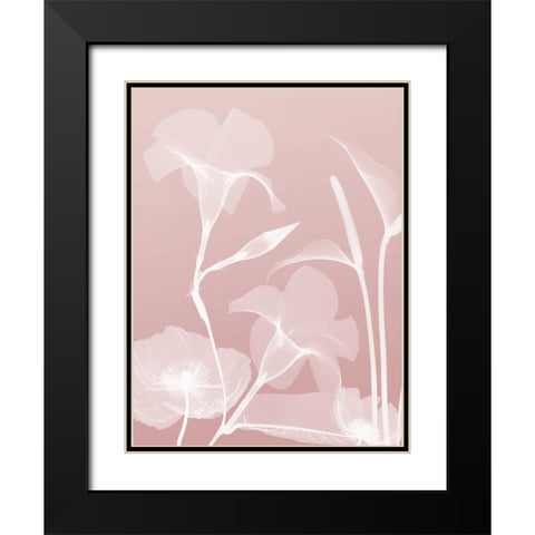 Pink Flora 4 Black Modern Wood Framed Art Print with Double Matting by Koetsier, Albert