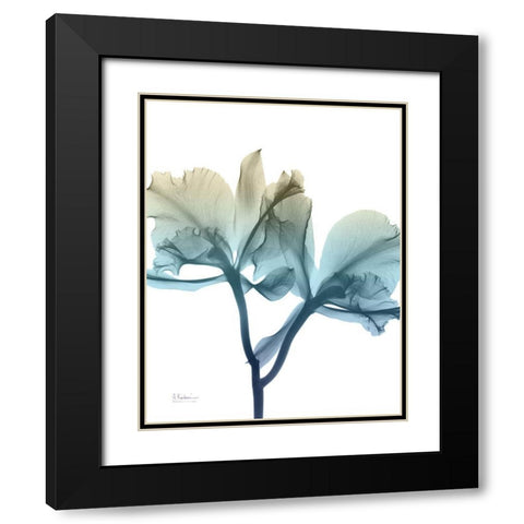 Ombre Expression 8 Black Modern Wood Framed Art Print with Double Matting by Koetsier, Albert