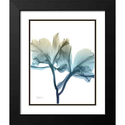 Ombre Expression 8 Black Modern Wood Framed Art Print with Double Matting by Koetsier, Albert