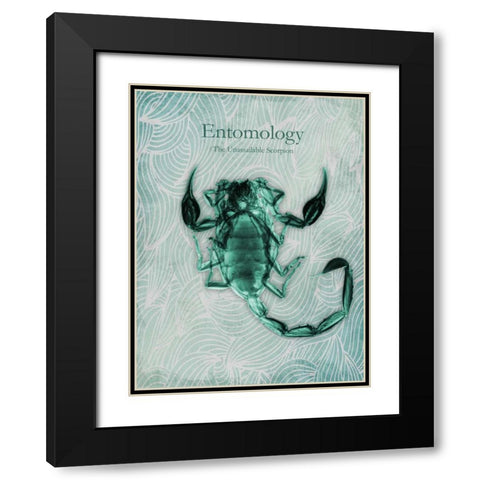 Unassailable Scorpion Black Modern Wood Framed Art Print with Double Matting by Koetsier, Albert