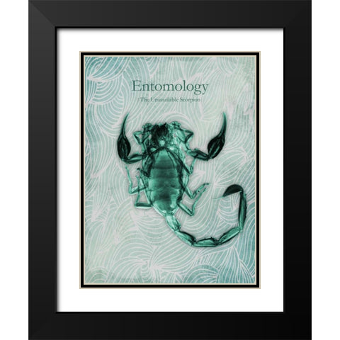 Unassailable Scorpion Black Modern Wood Framed Art Print with Double Matting by Koetsier, Albert