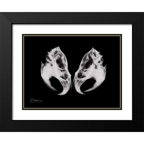 Ondatra Twins Black Modern Wood Framed Art Print with Double Matting by Koetsier, Albert