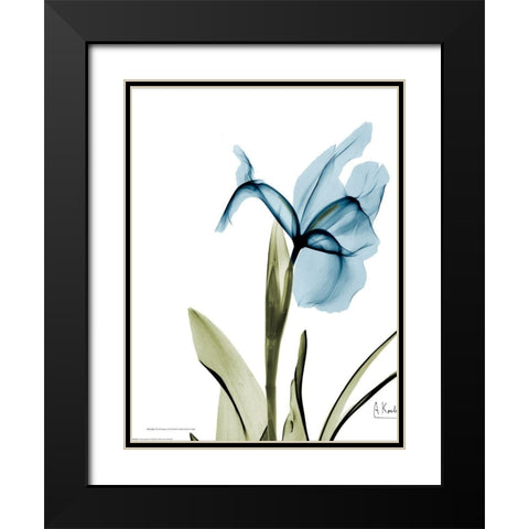 Iris B76 Black Modern Wood Framed Art Print with Double Matting by Koetsier, Albert