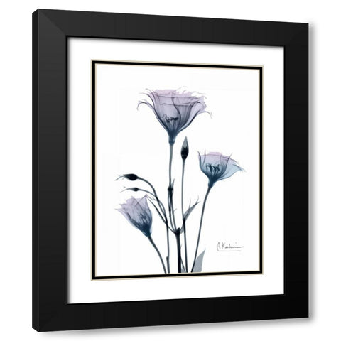 Midnight Gentian 2 Black Modern Wood Framed Art Print with Double Matting by Koetsier, Albert