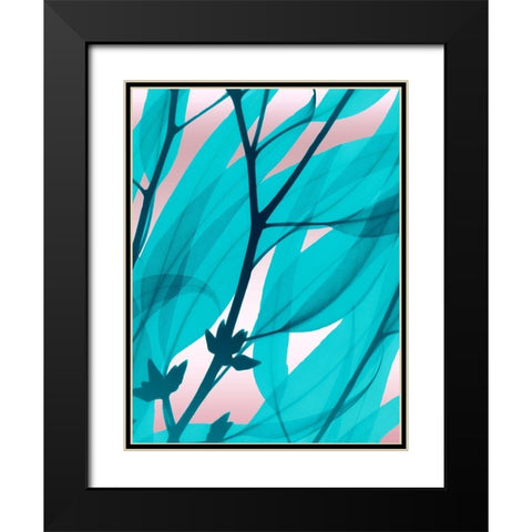 Eucalyptus Cotton Candy Black Modern Wood Framed Art Print with Double Matting by Koetsier, Albert