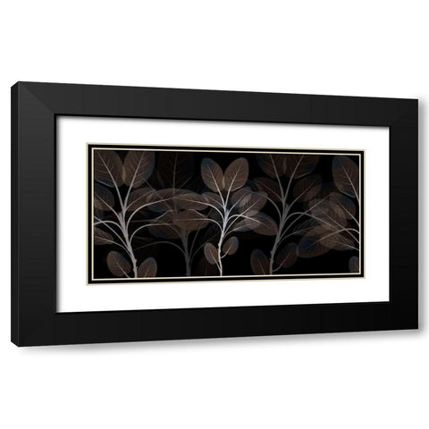 Cocoa Blooms 1 Black Modern Wood Framed Art Print with Double Matting by Koetsier, Albert