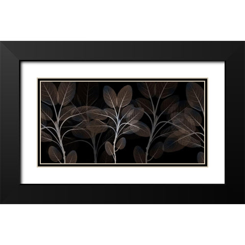 Cocoa Blooms 1 Black Modern Wood Framed Art Print with Double Matting by Koetsier, Albert