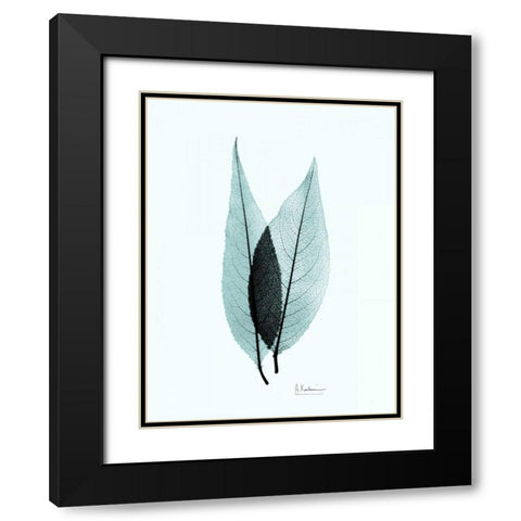 Caplulin Cherry Teal Black Modern Wood Framed Art Print with Double Matting by Koetsier, Albert