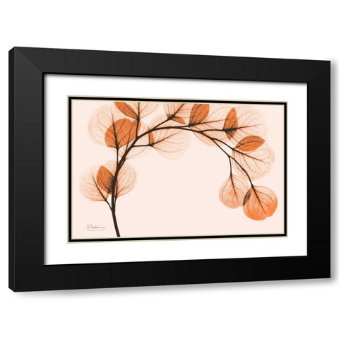 Orange Eucalyptus Black Modern Wood Framed Art Print with Double Matting by Koetsier, Albert