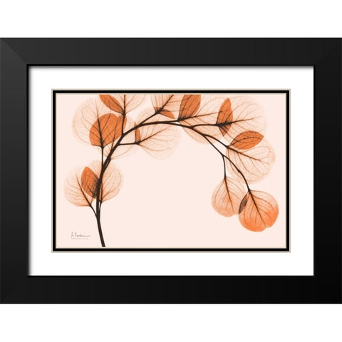 Orange Eucalyptus Black Modern Wood Framed Art Print with Double Matting by Koetsier, Albert