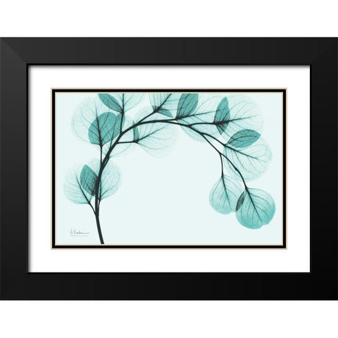 Teal Eucalyptus Black Modern Wood Framed Art Print with Double Matting by Koetsier, Albert