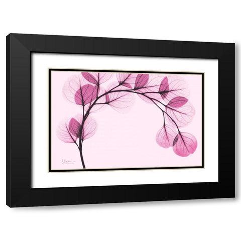 Pink Eucalyptus Black Modern Wood Framed Art Print with Double Matting by Koetsier, Albert