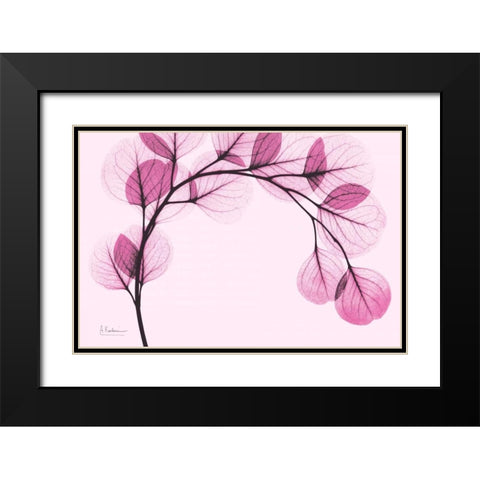 Pink Eucalyptus Black Modern Wood Framed Art Print with Double Matting by Koetsier, Albert