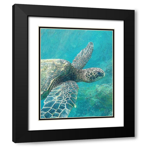 Sea Turtle 1 Black Modern Wood Framed Art Print with Double Matting by Bailey, Ann